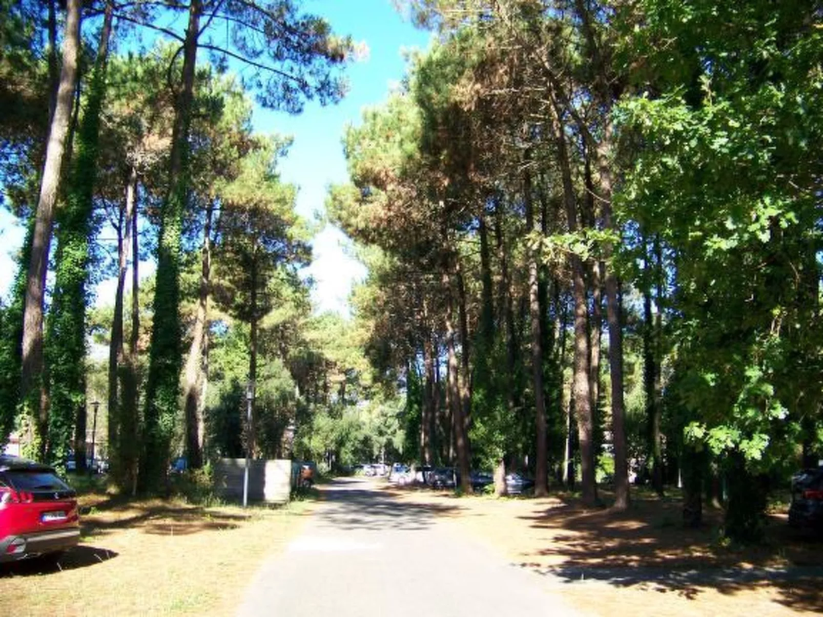 Hübsches kleines Haus in ruhiger Lage in einer baumbestandenen Residenz mit beh-Draußen