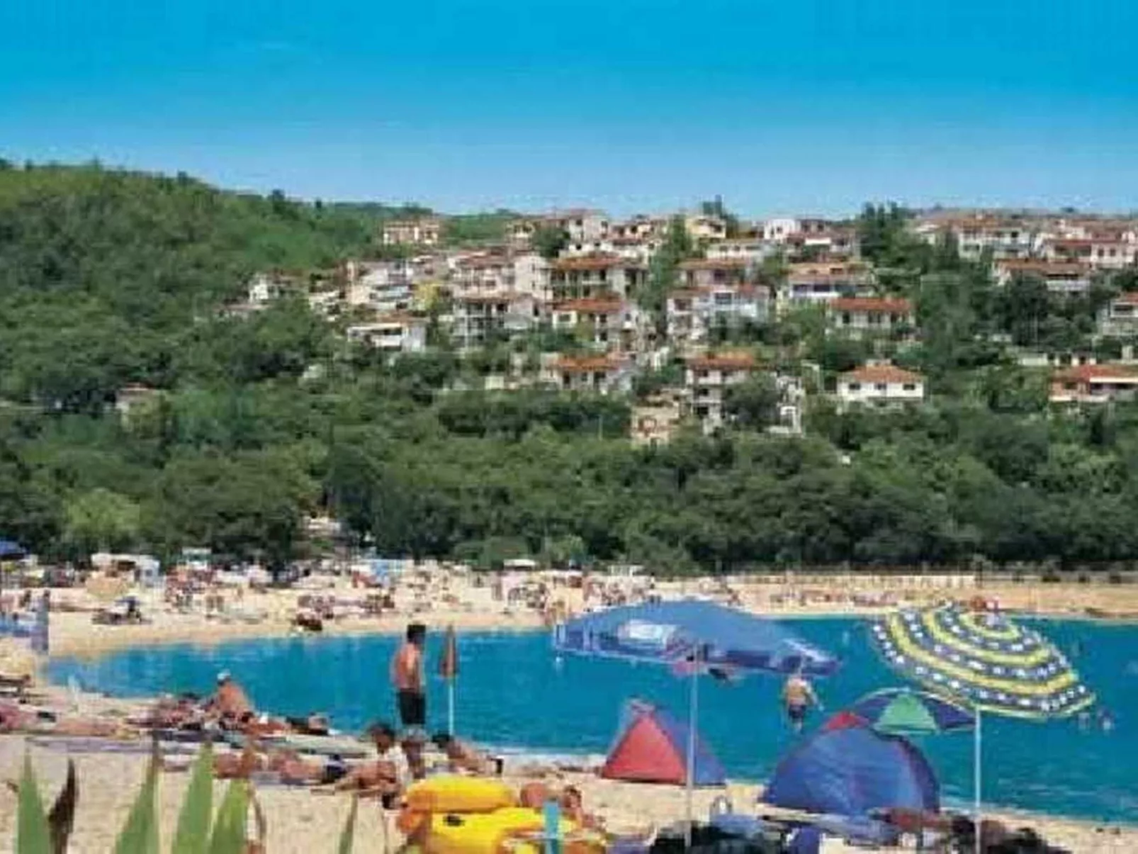 Mimosa,Wohnblock 1-Image-tags.info