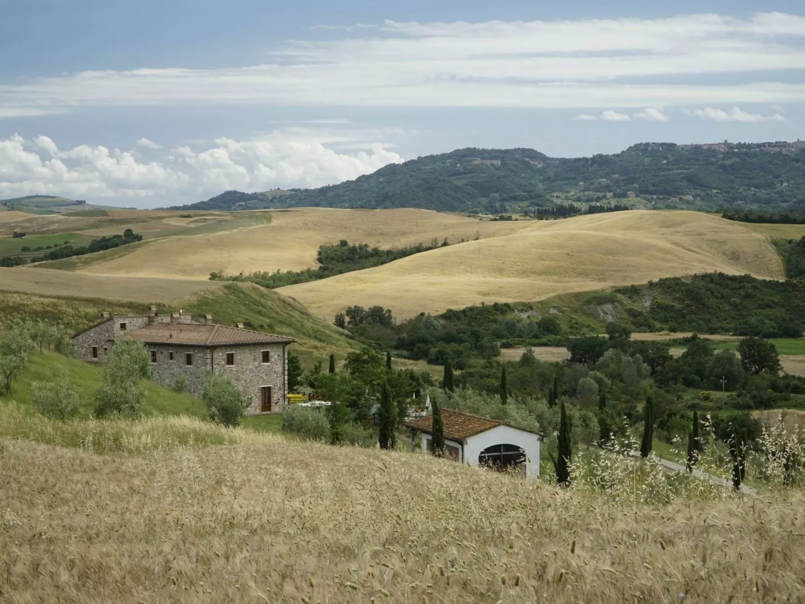 Alchenigi' Wohnung mit Schwimmbad-Outside