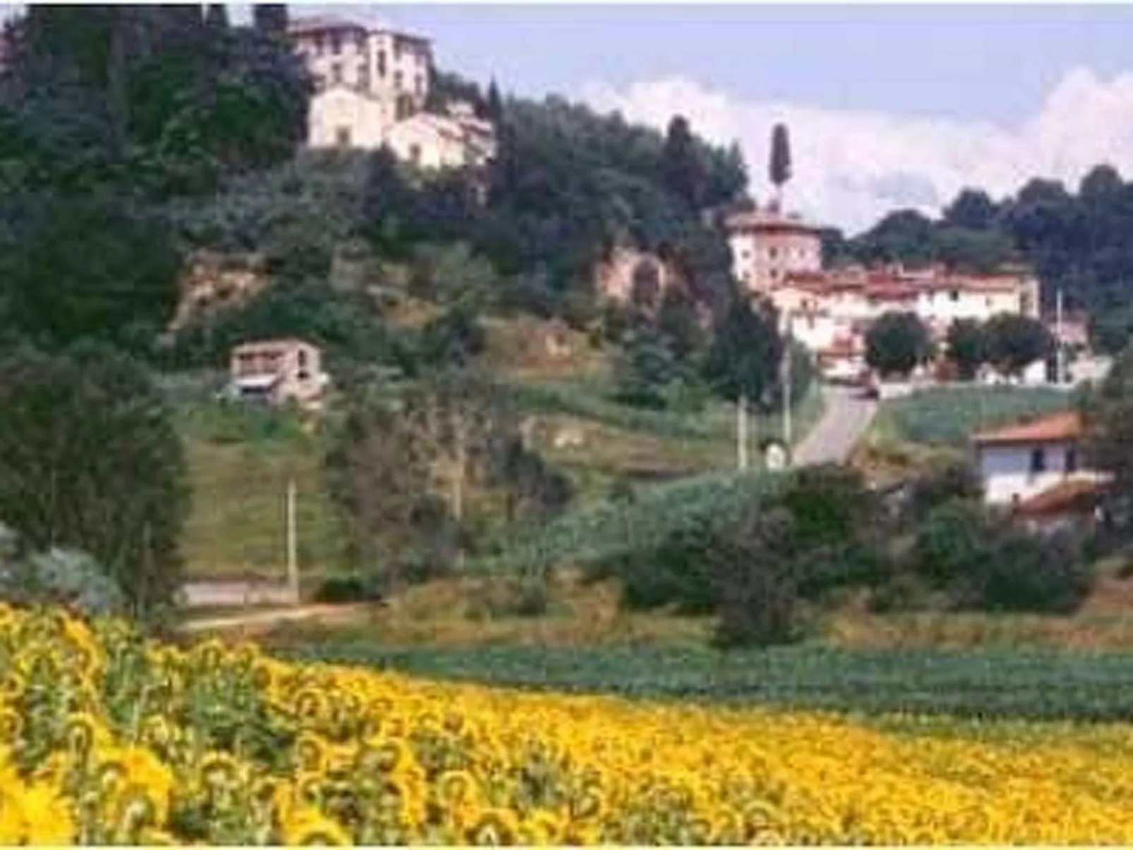 Appartement in Palaia mit Großem Garten-Dehors
