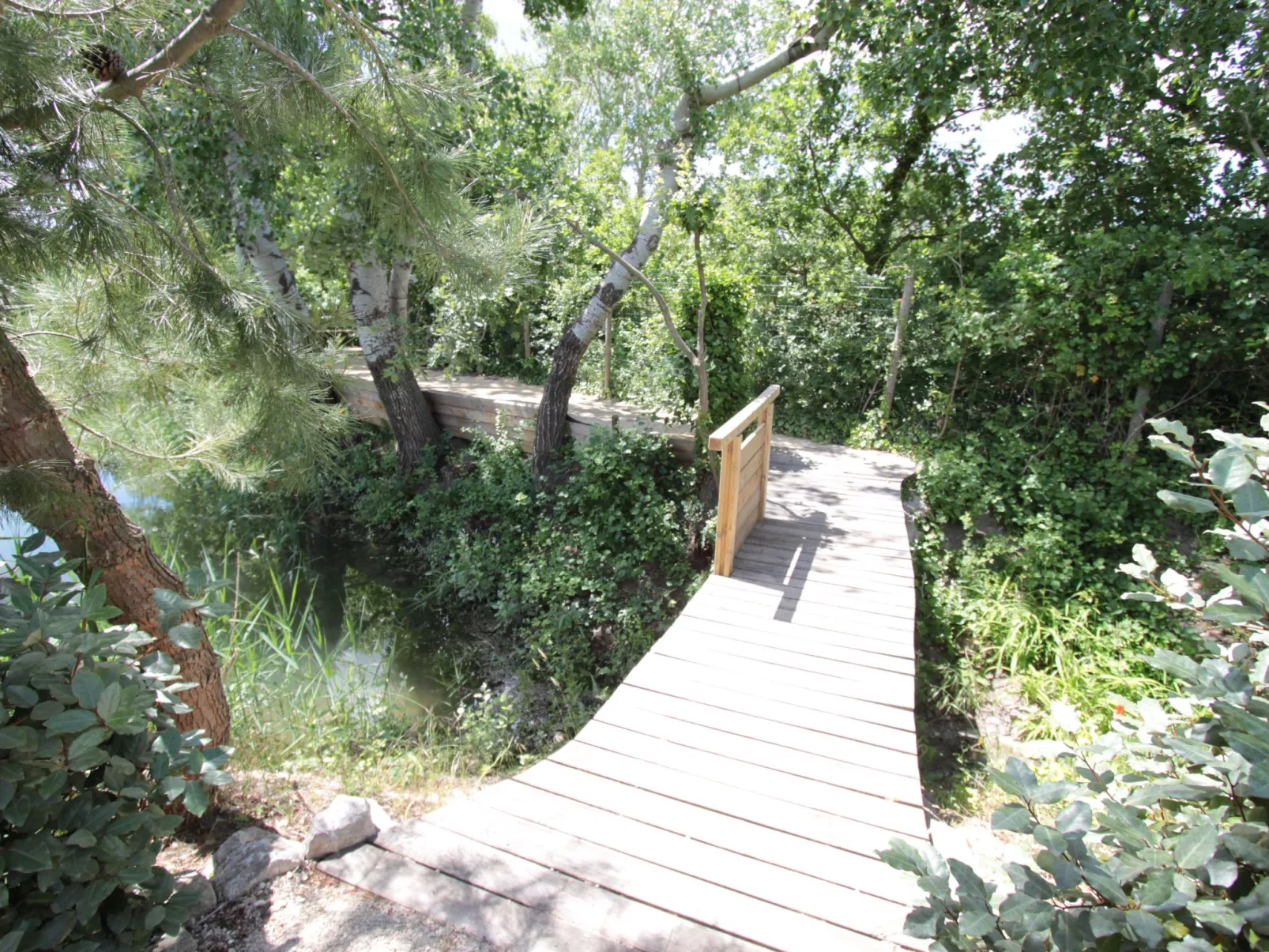 Die Gîtes de Bel-Air im Luberon in der Provence-Dehors