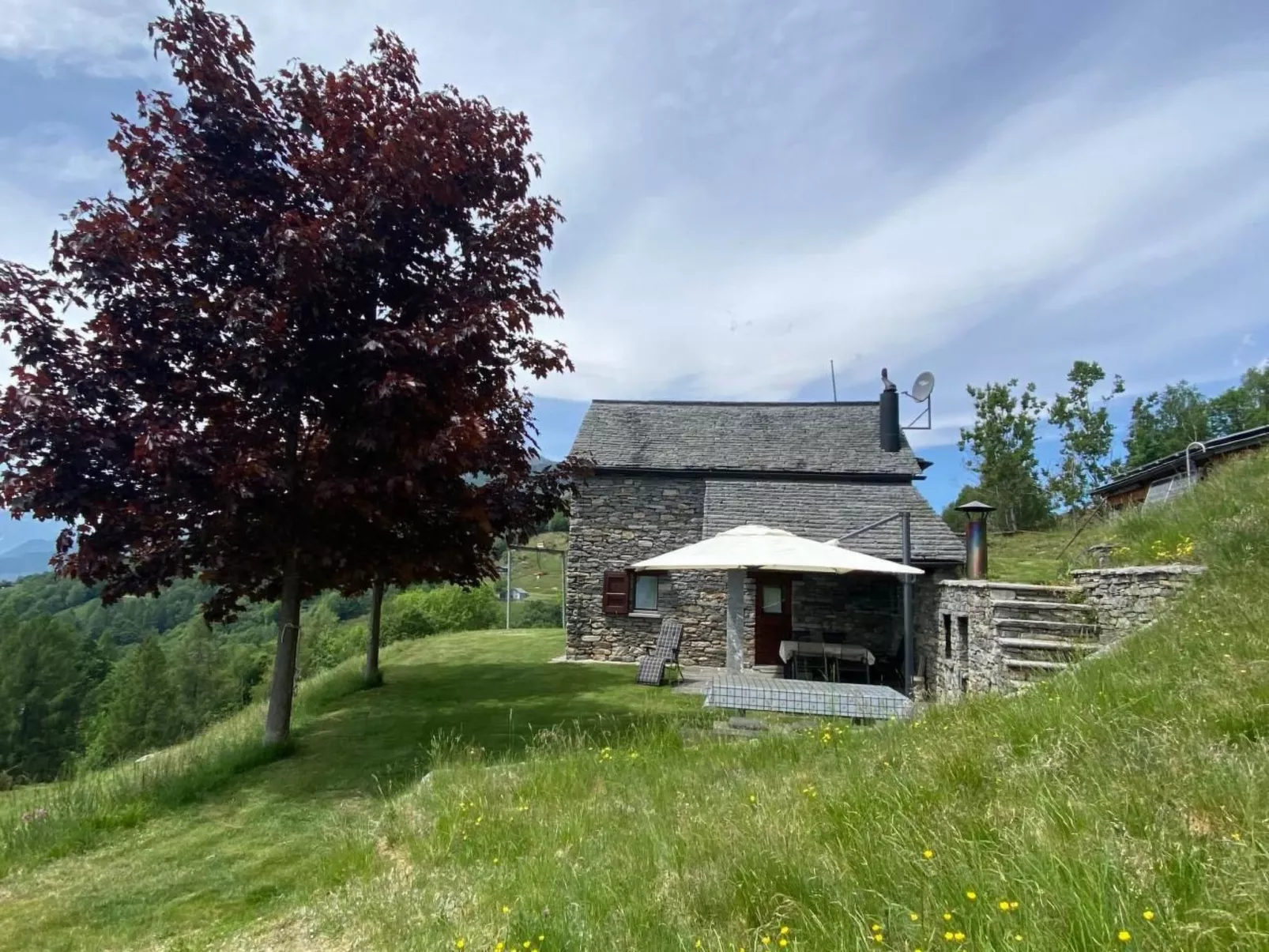 Cà du Papa 2-Image-tags.info