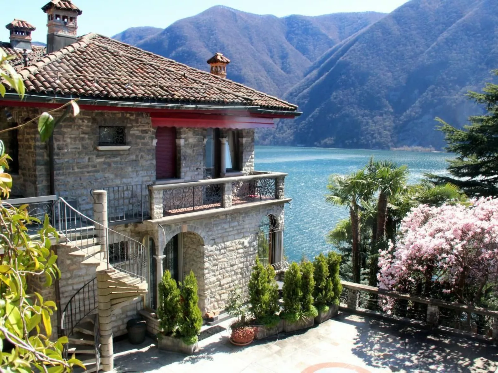 Agave-Image-tags.info