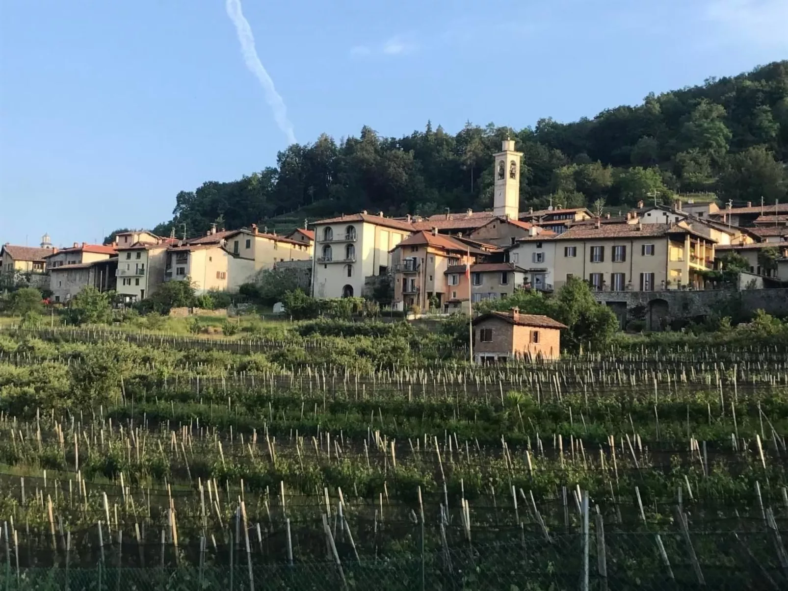 Exklusives Apartment, am Luganersee, mit Außenpool-Outside