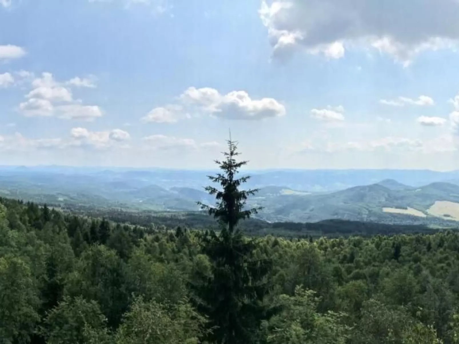 Fewo Natur und Kunst-Dehors