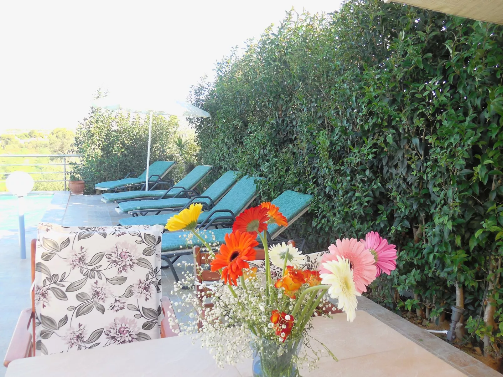 "Zafira" mit Whirlpool-Draußen