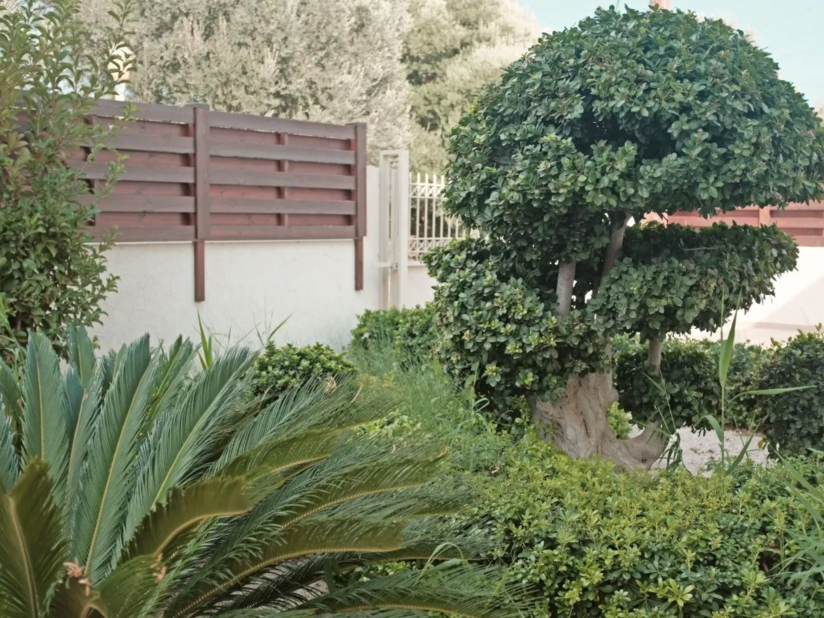 In Sgourou mit Eigenem Balkon-Image-tags.info