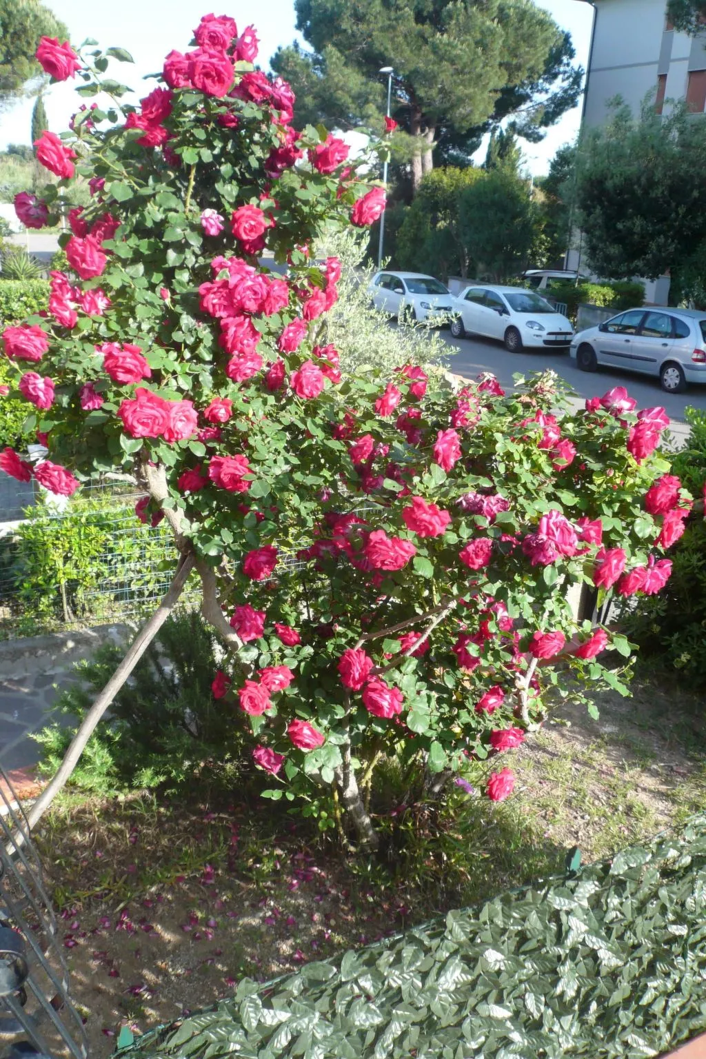 Wohnung mit Garten, Grill und Terrasse-Dehors