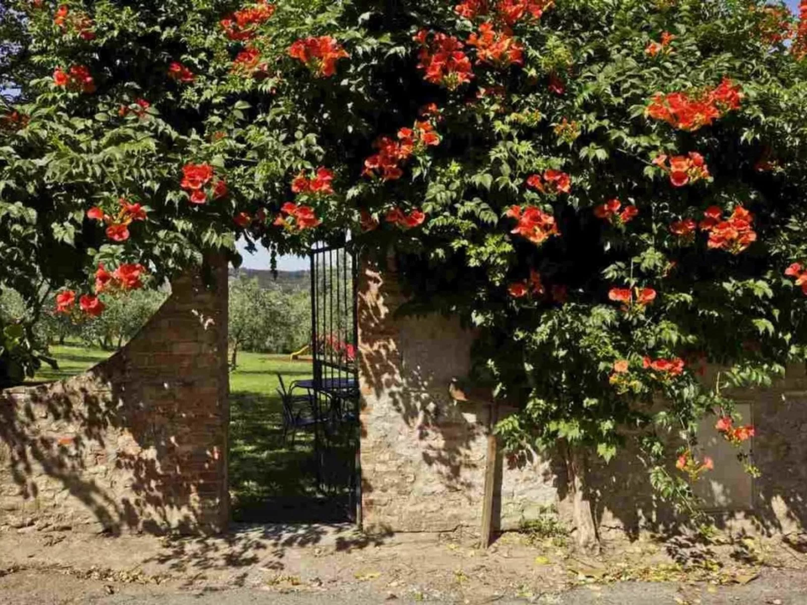 Cappellina Capponi Ferienwohnung-Dehors