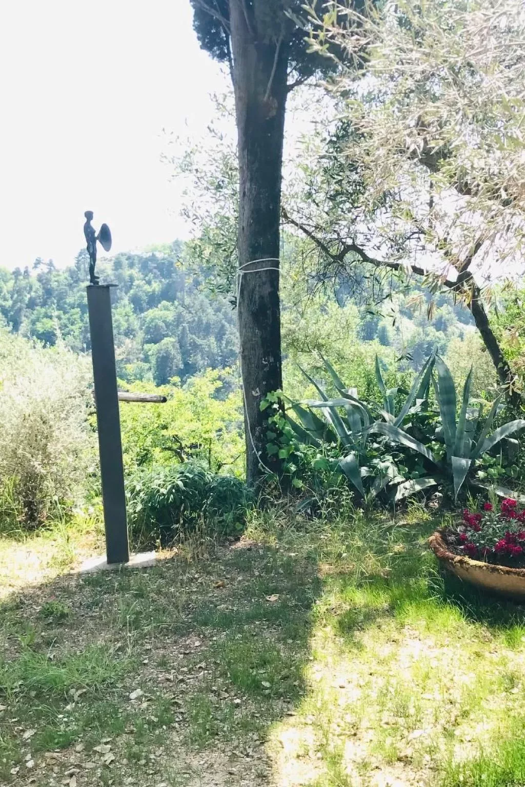 Artist's hill-Image-tags.info