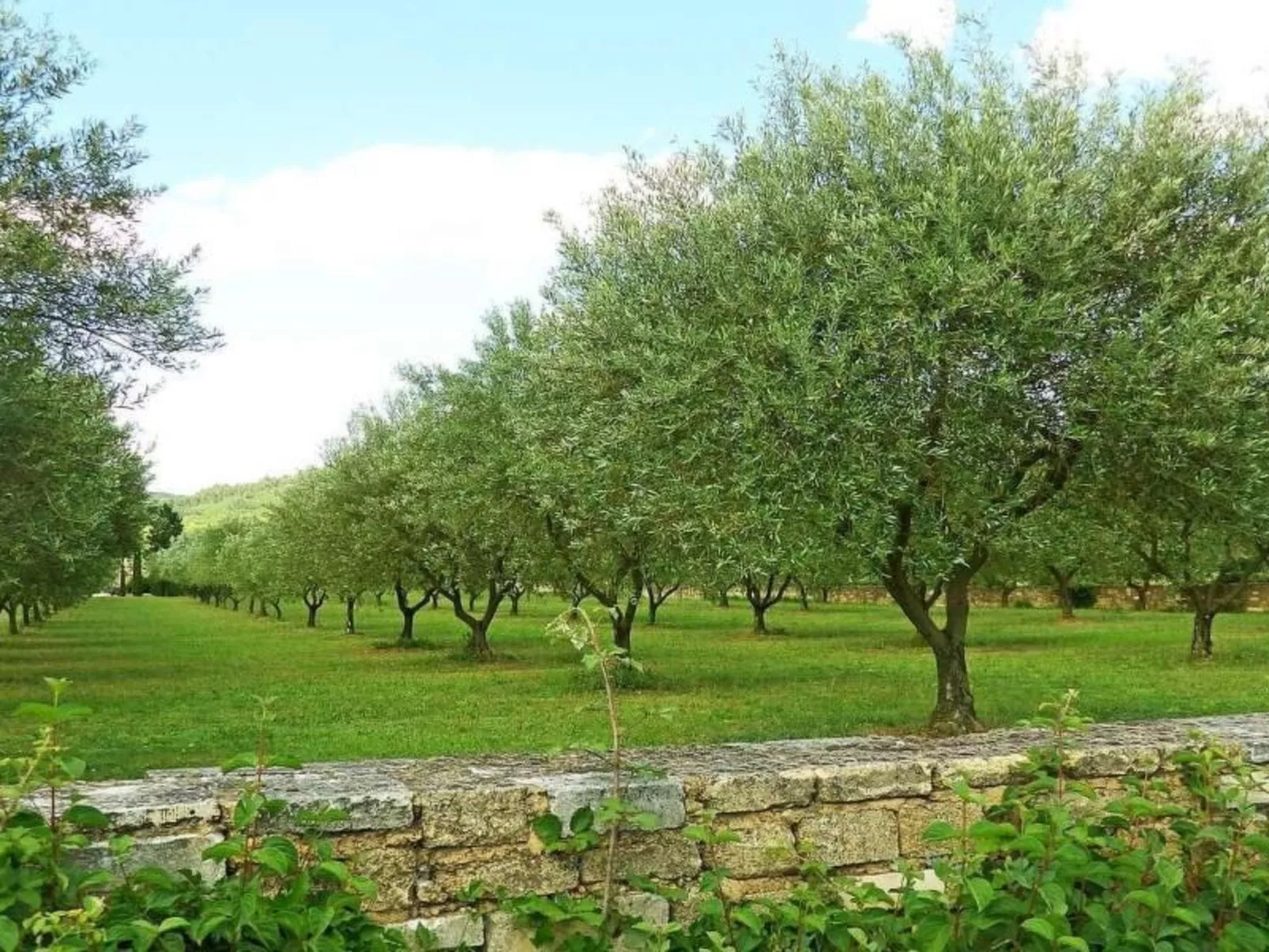 Villa Fleurie-Draußen