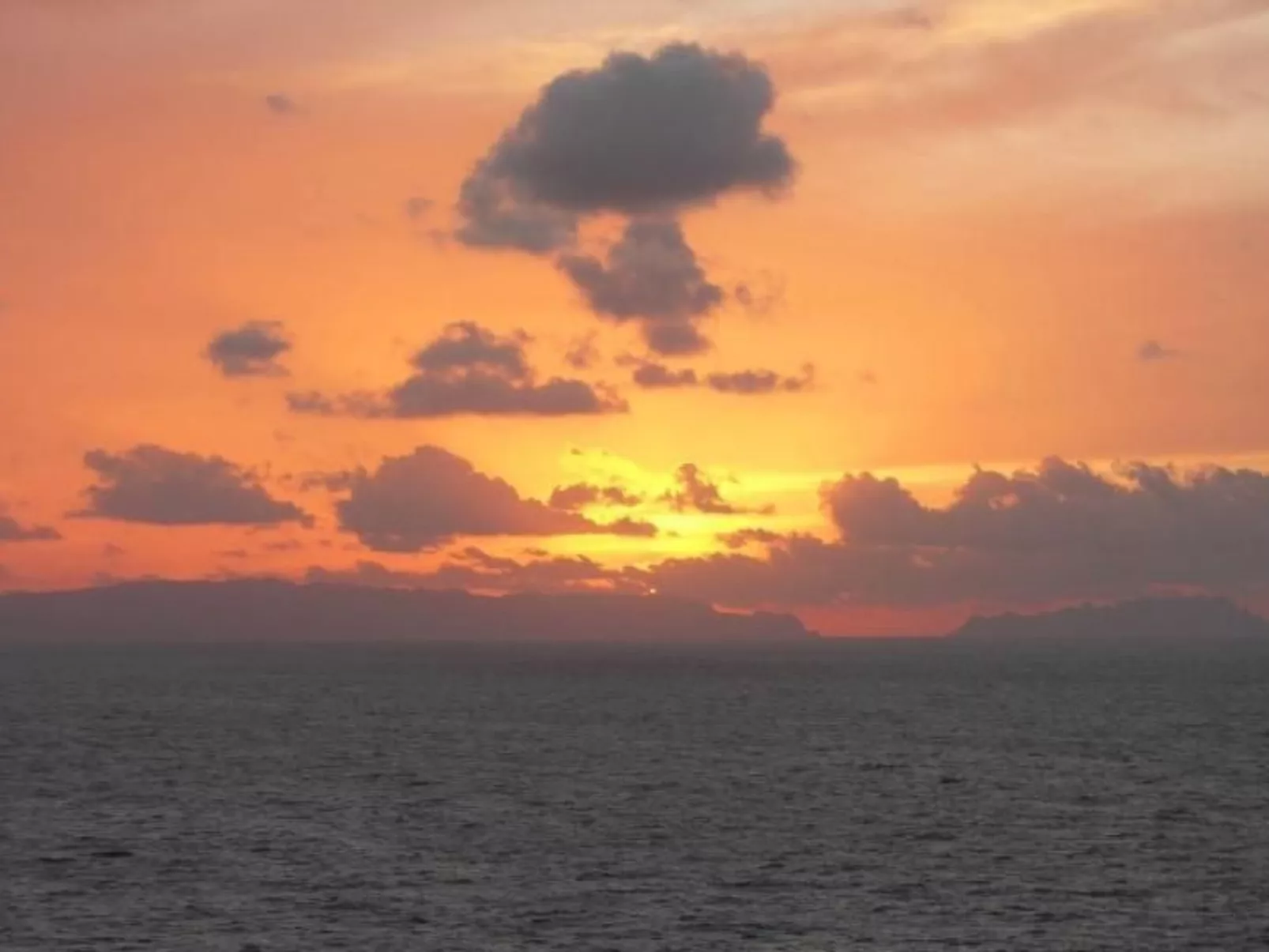 Seaview Refugium 633-Image-tags.info