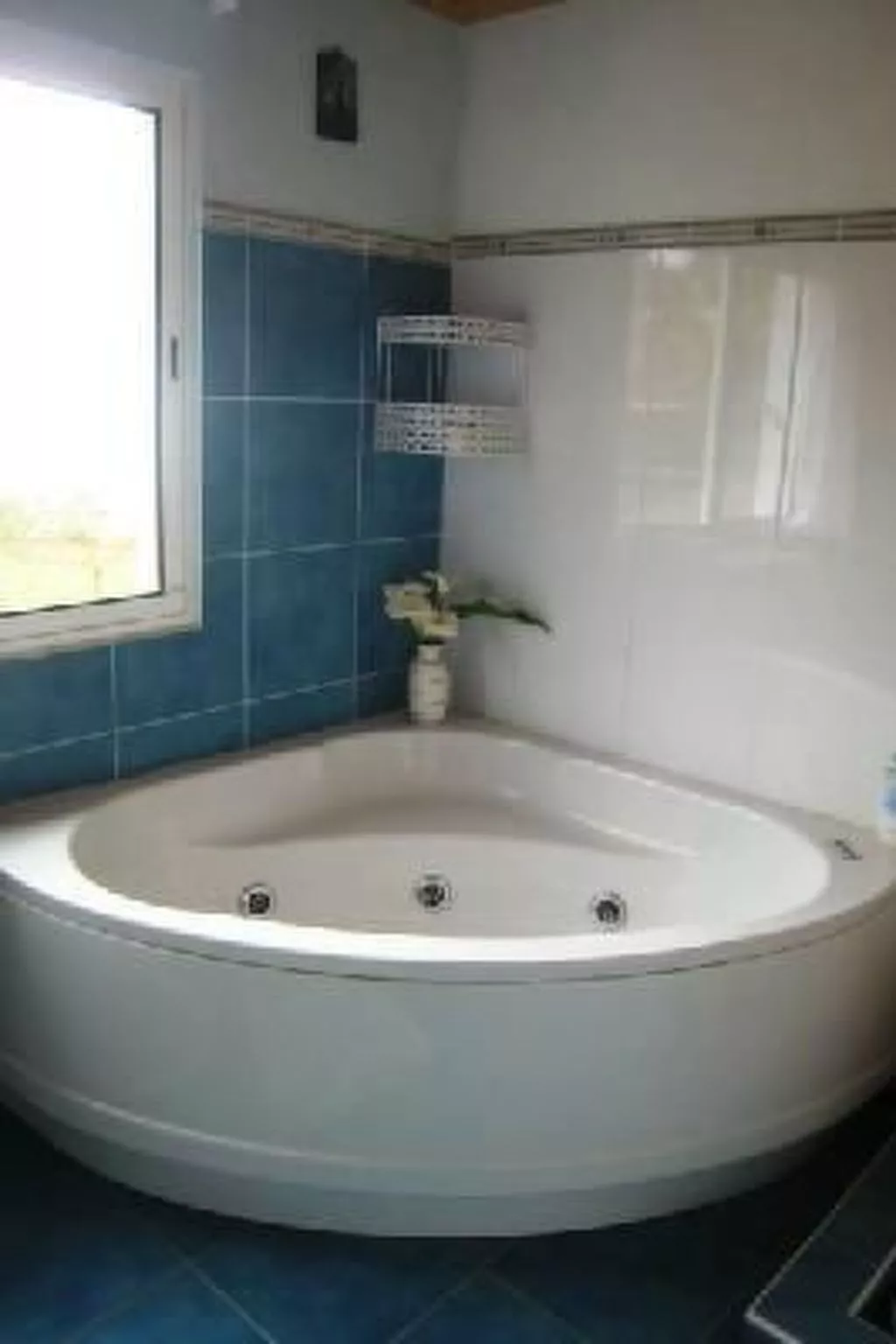 Klein-Norwegen-Image-tags.info