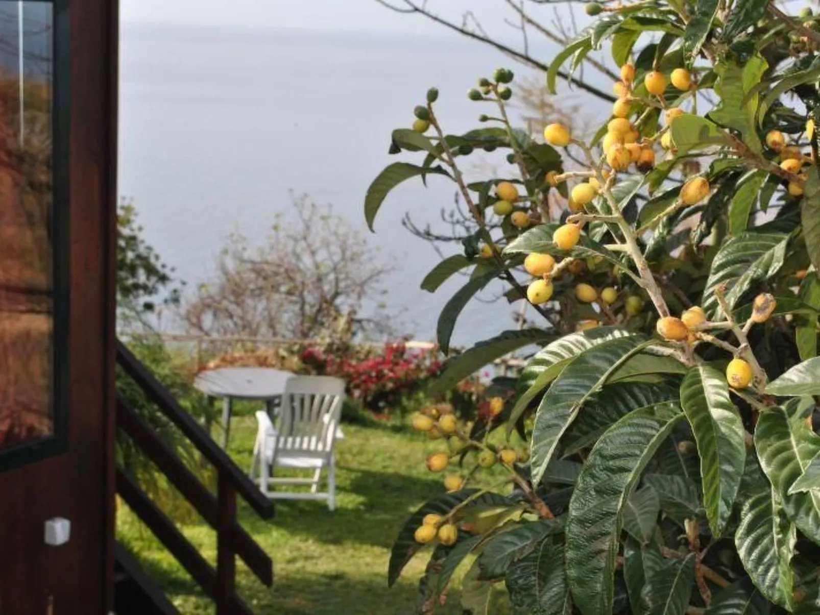 In Canhas mit Schönem Garten-Draußen