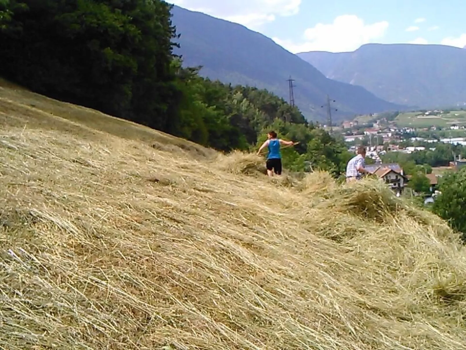 Mit Terrasse auf einem Bauernhof-Draußen