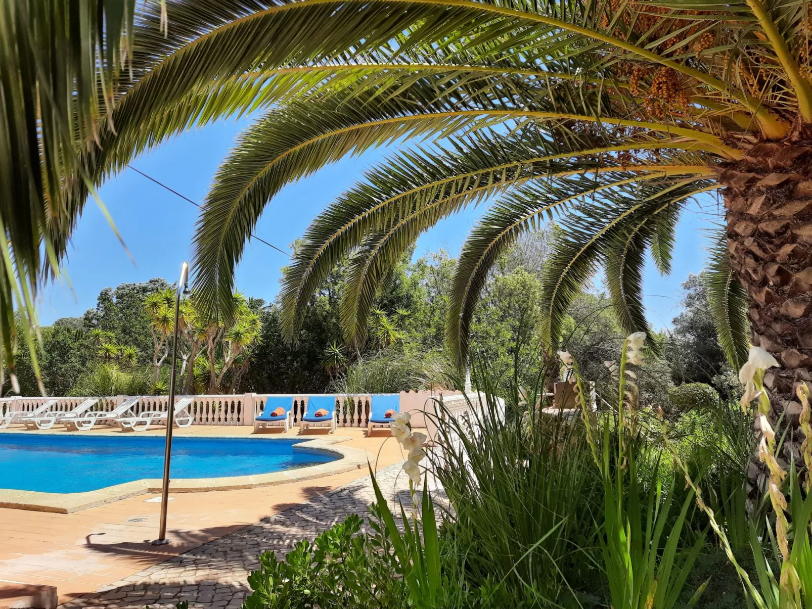 Mit Terrasse und Gemeinschaftspool-Draußen