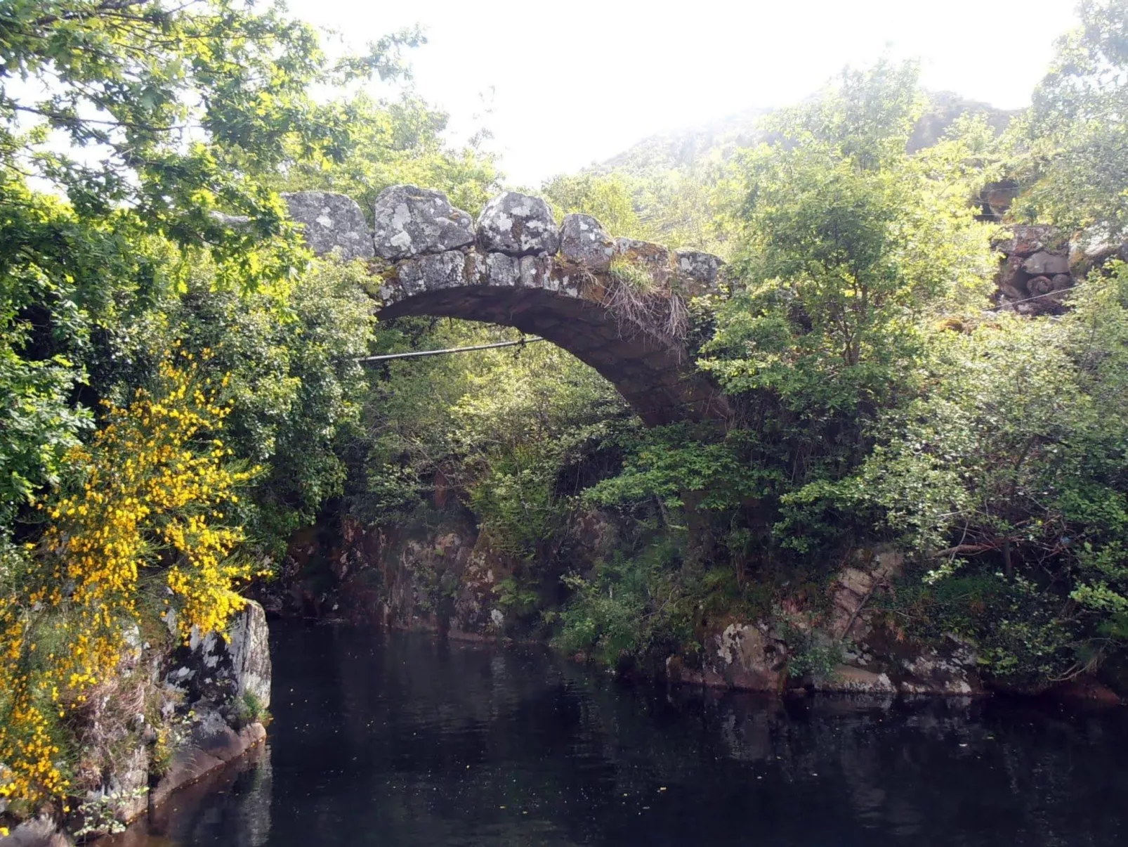 "Großmutters Häuschen" mit überdachter Terrasse-Draußen