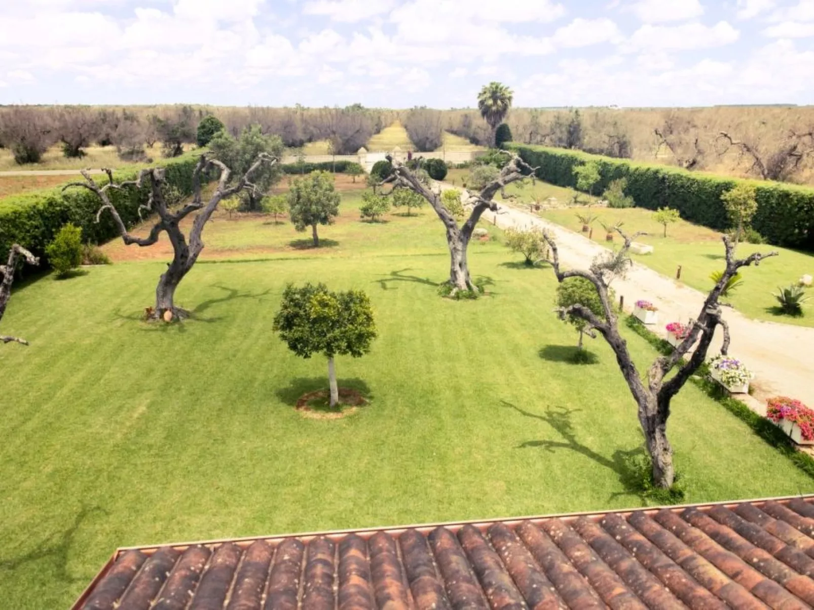 VILLA MIT POOL - PODERE CORDA DI LANA-Image-tags.info