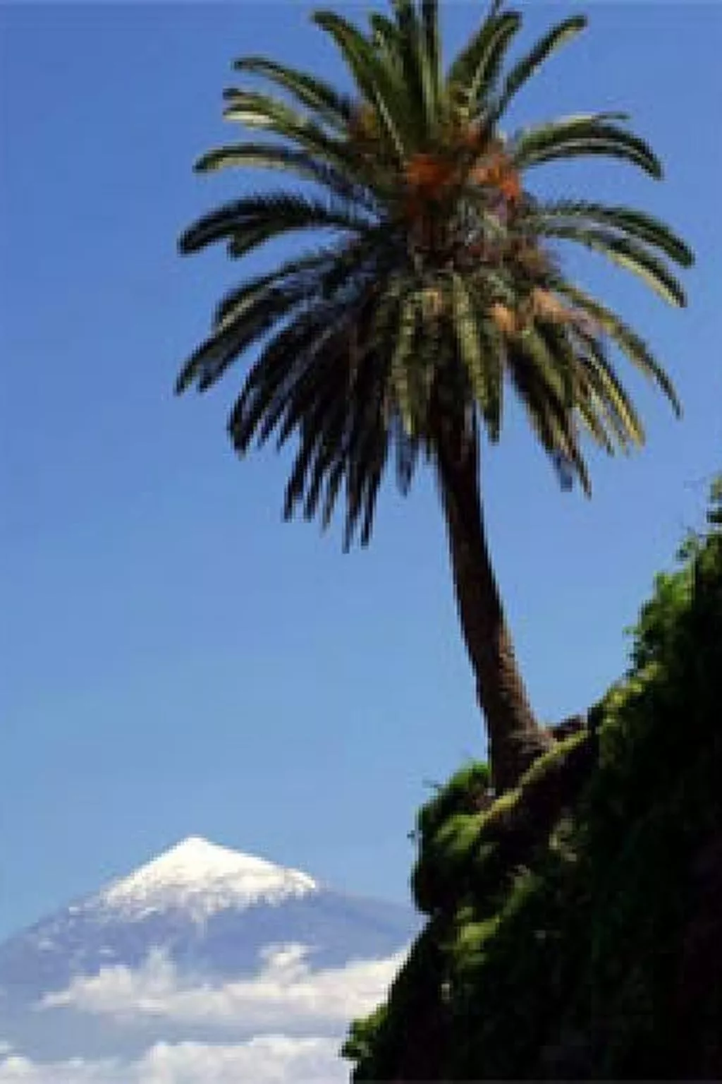 Casa Rural El Serrillal 1 Hermigua La Gomera-Image-tags.info