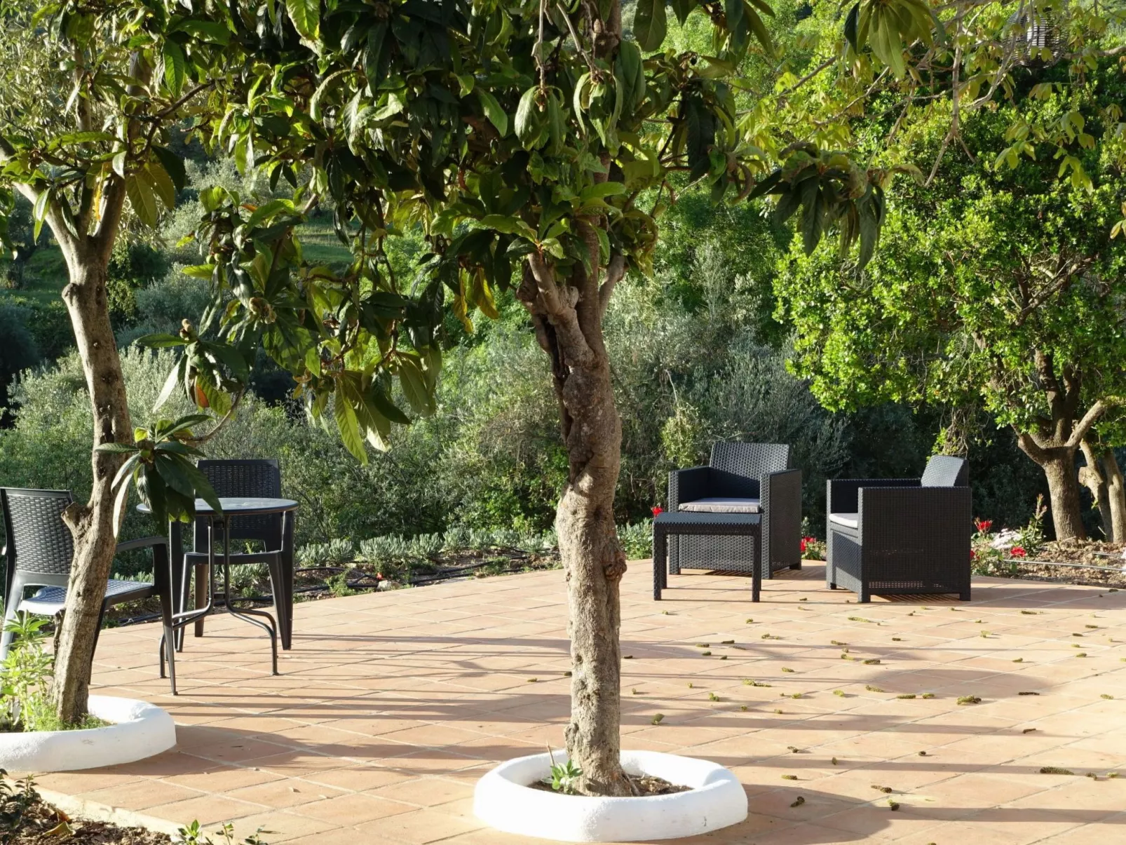 Gemütliches Landhaus Betania in Grazalema-Outside