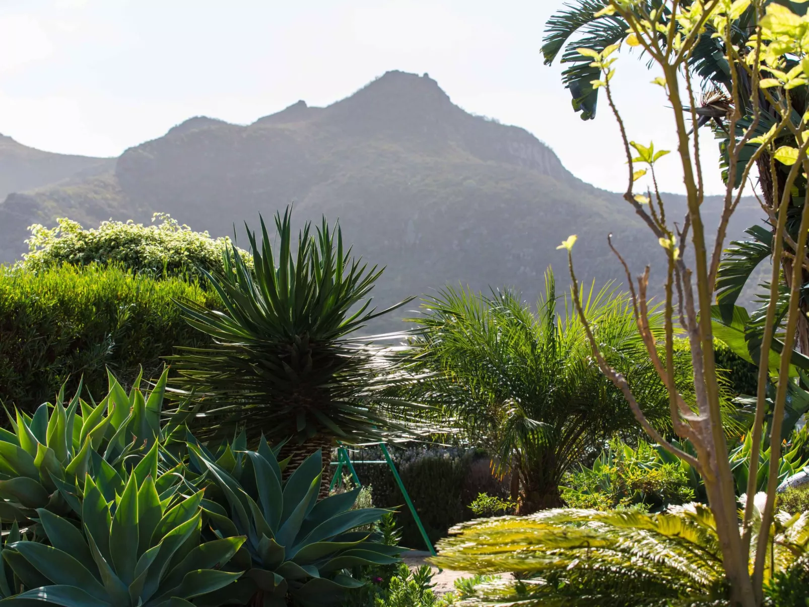 Finca Picacho "Ferienhäuser für große Gruppen"-Outside