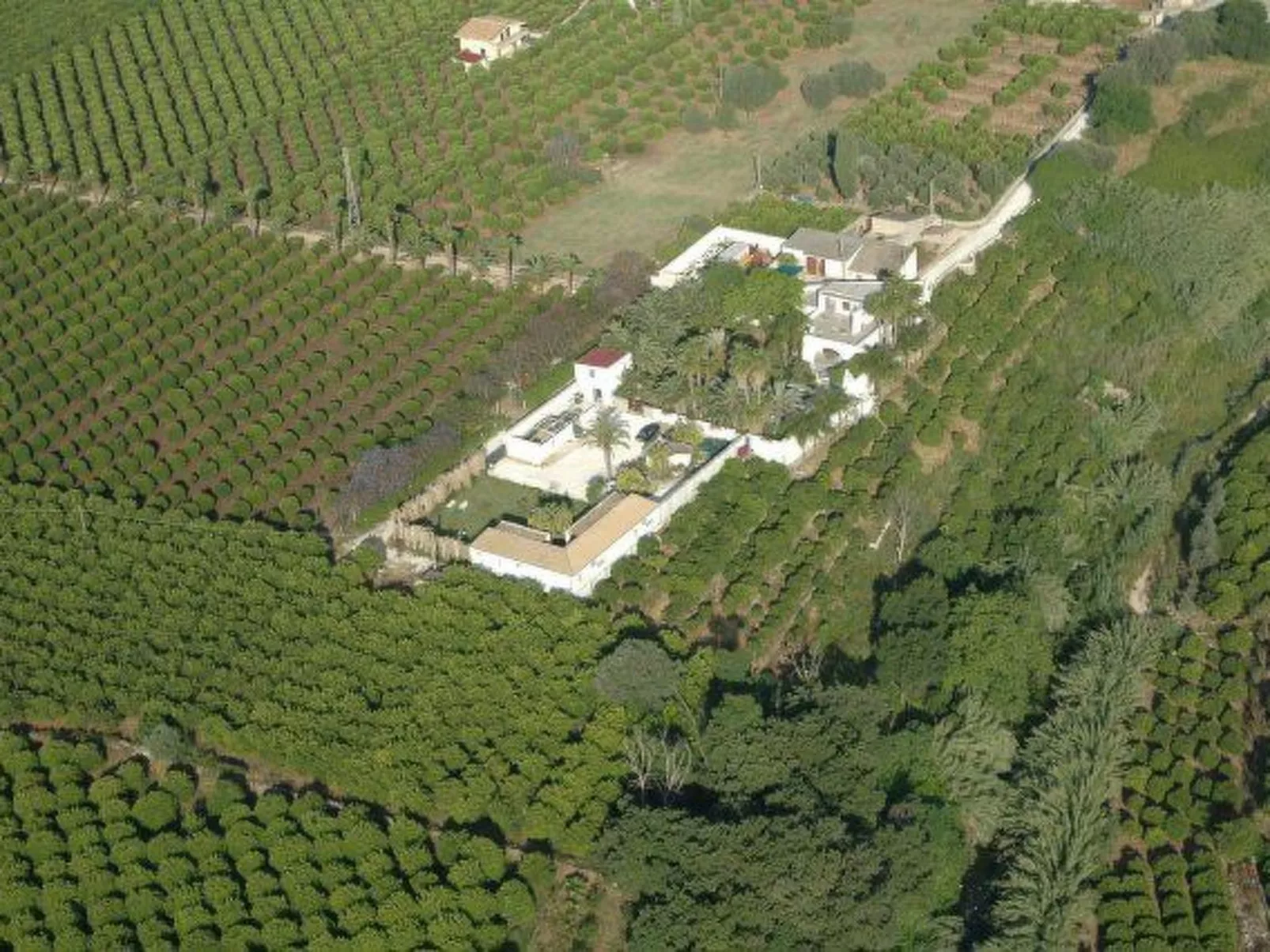 Cuore di Palme Bilo-Outside