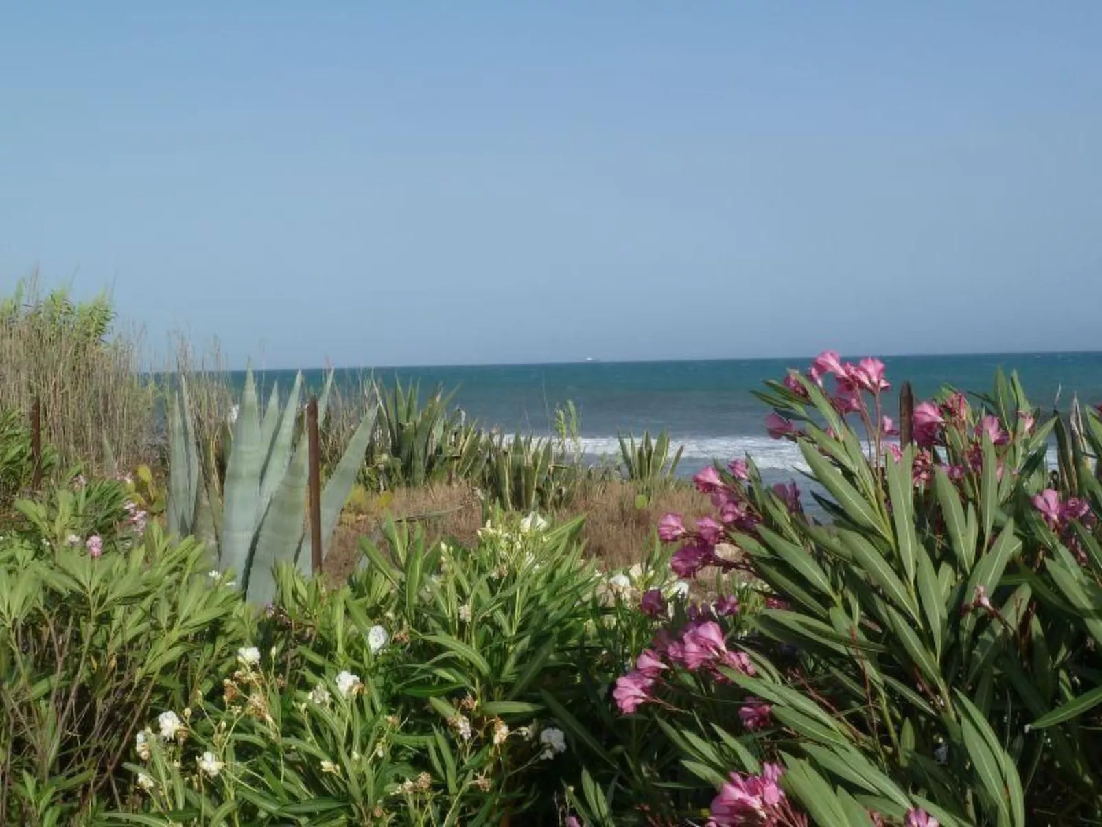 Villa Matilde: Kleine Ferienwohnung mit Meerblick-Outside