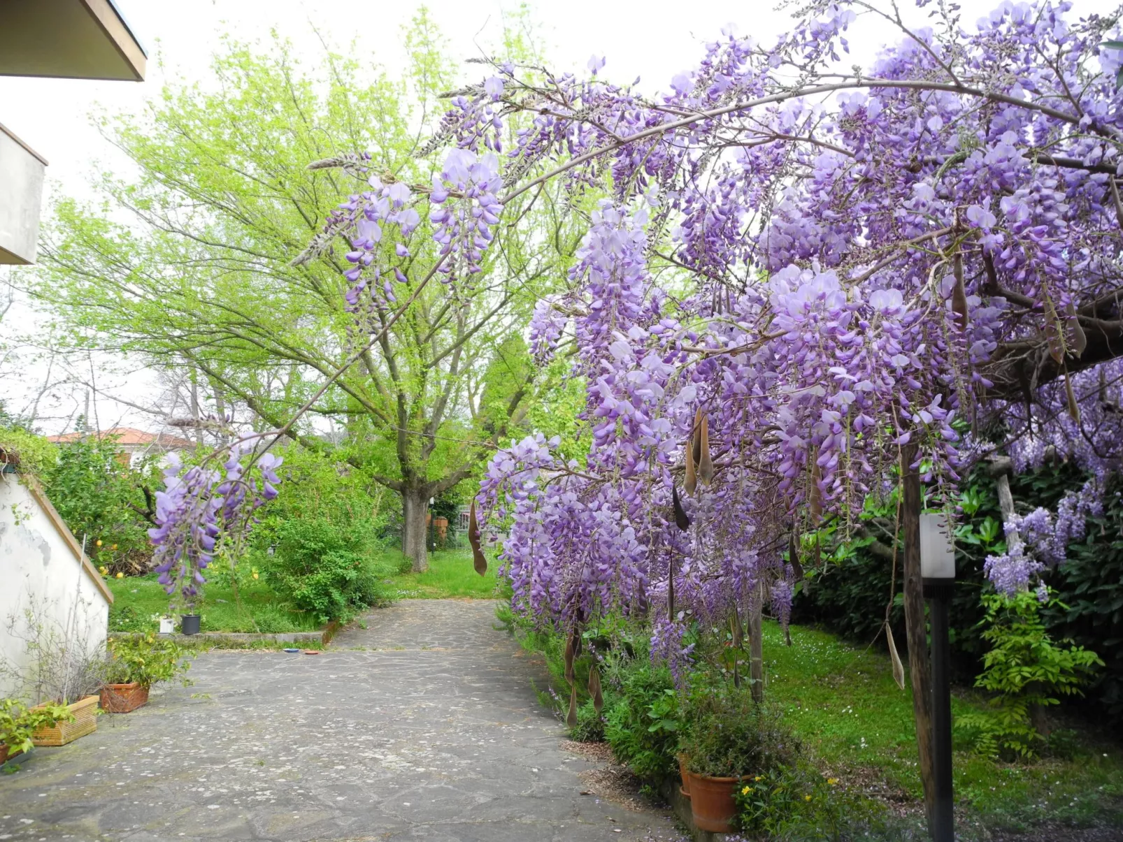 Ferienvilla 'Elisa' mit privatem Pool-Outside