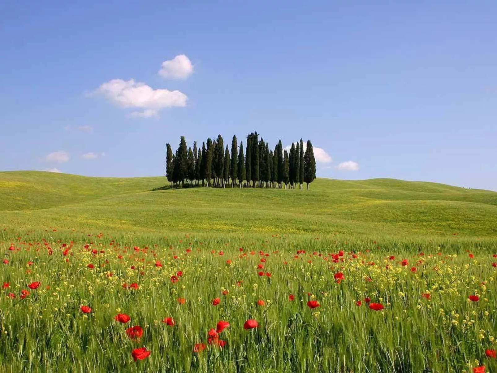 Ferienappartement mit Garten und Panoramablick-Outside
