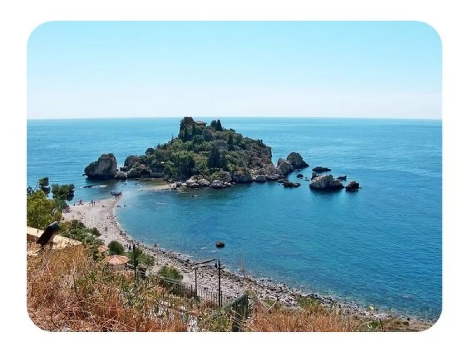 Don Diego-Image-tags.info