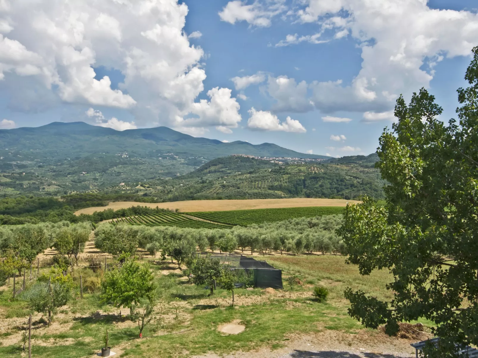 'Villa RosaSpina-Outside