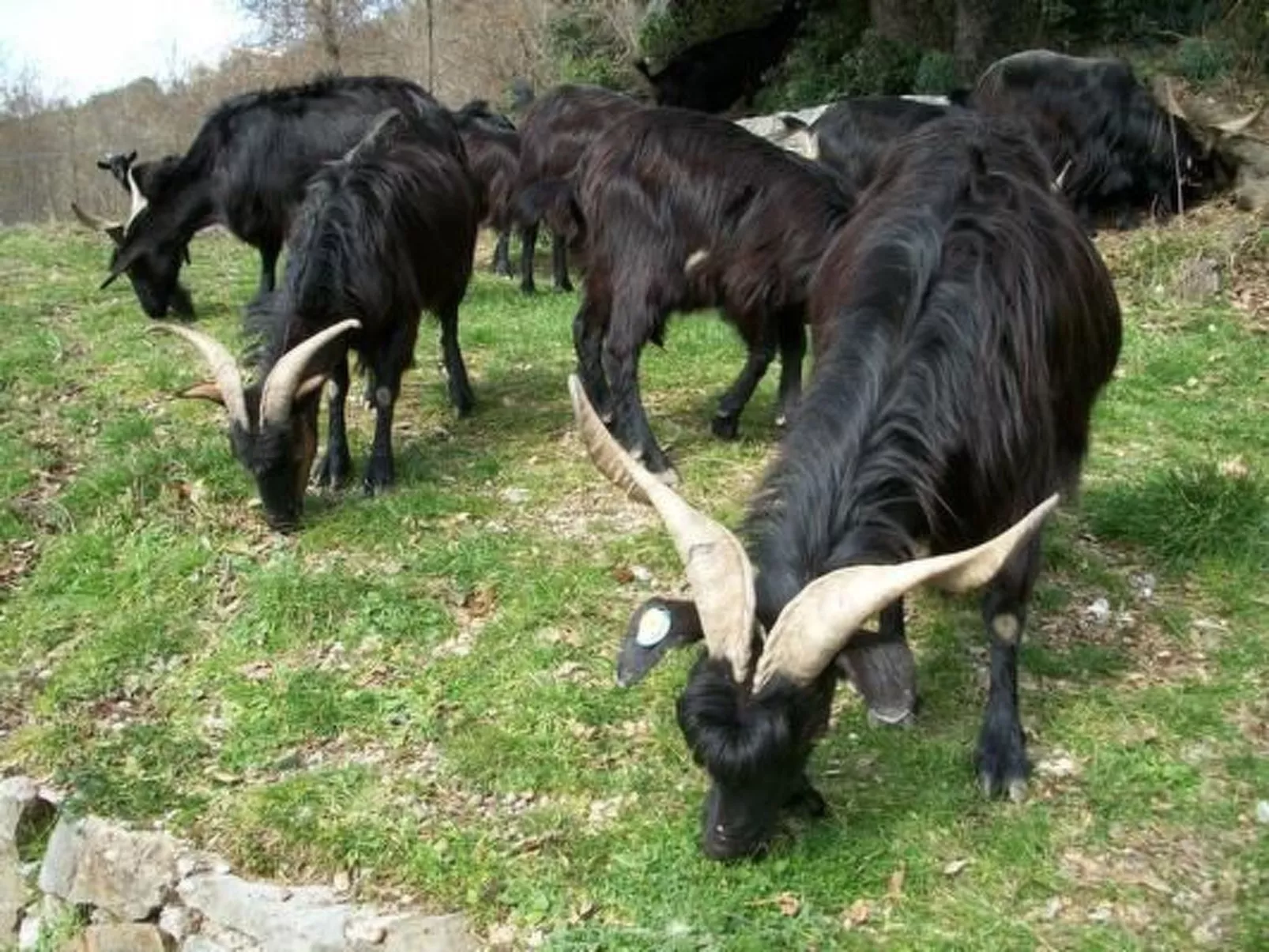 Natursteinhaus mit Panoramablick zum Meer-Outside