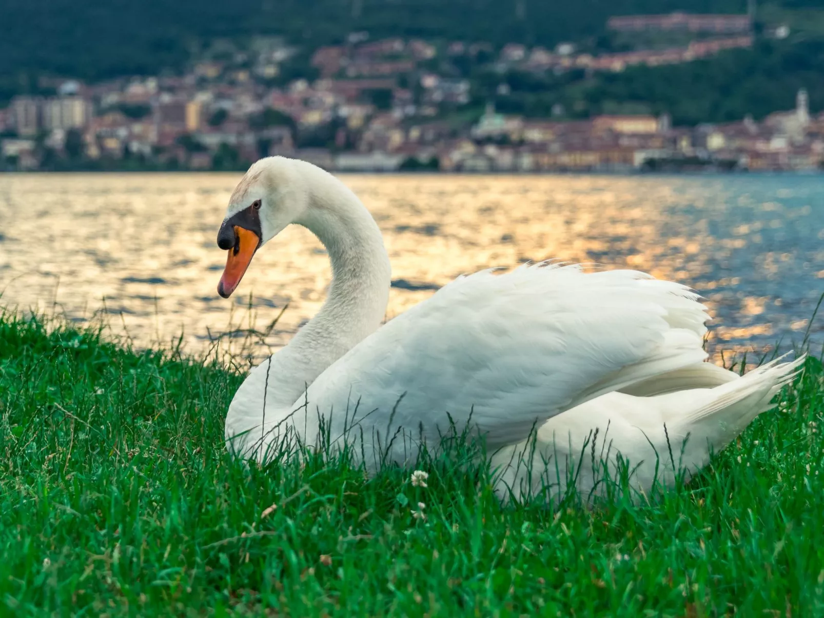 Studio-Apartment mit Balkon mit Seeblick und Zugang zum Garten-Dehors