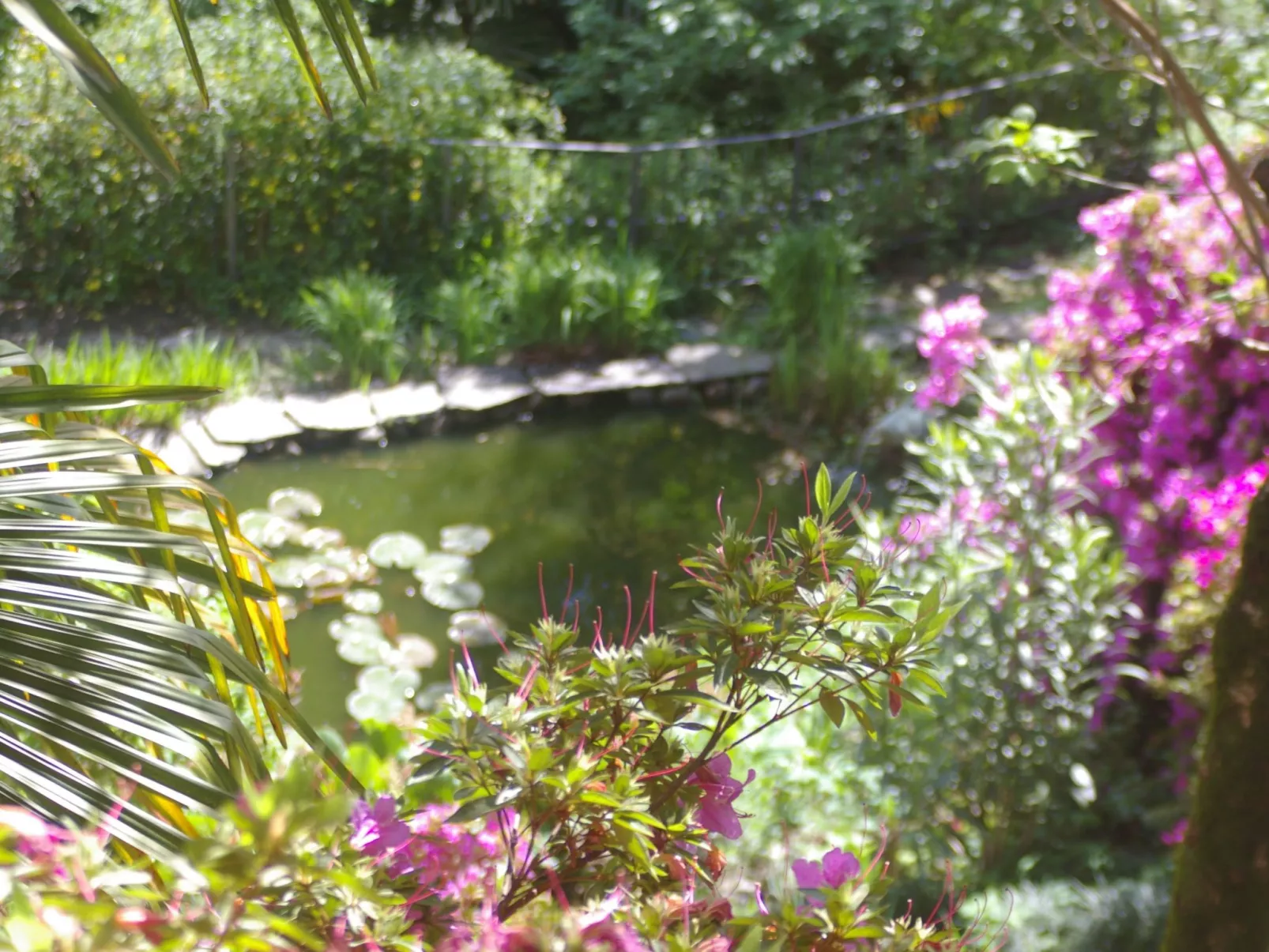 Vecchia Scuderia-Dehors