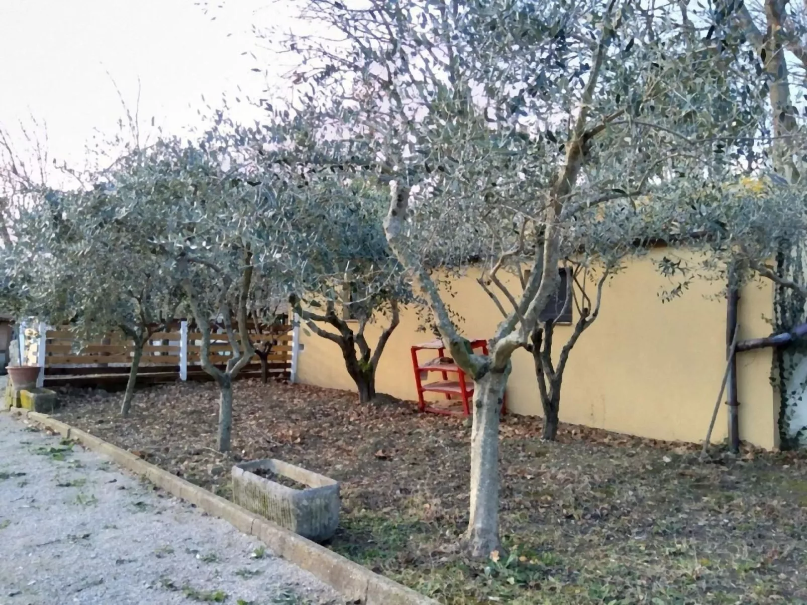 Studio  BUBO  - Pool - Ausblick- Kunst-Outside