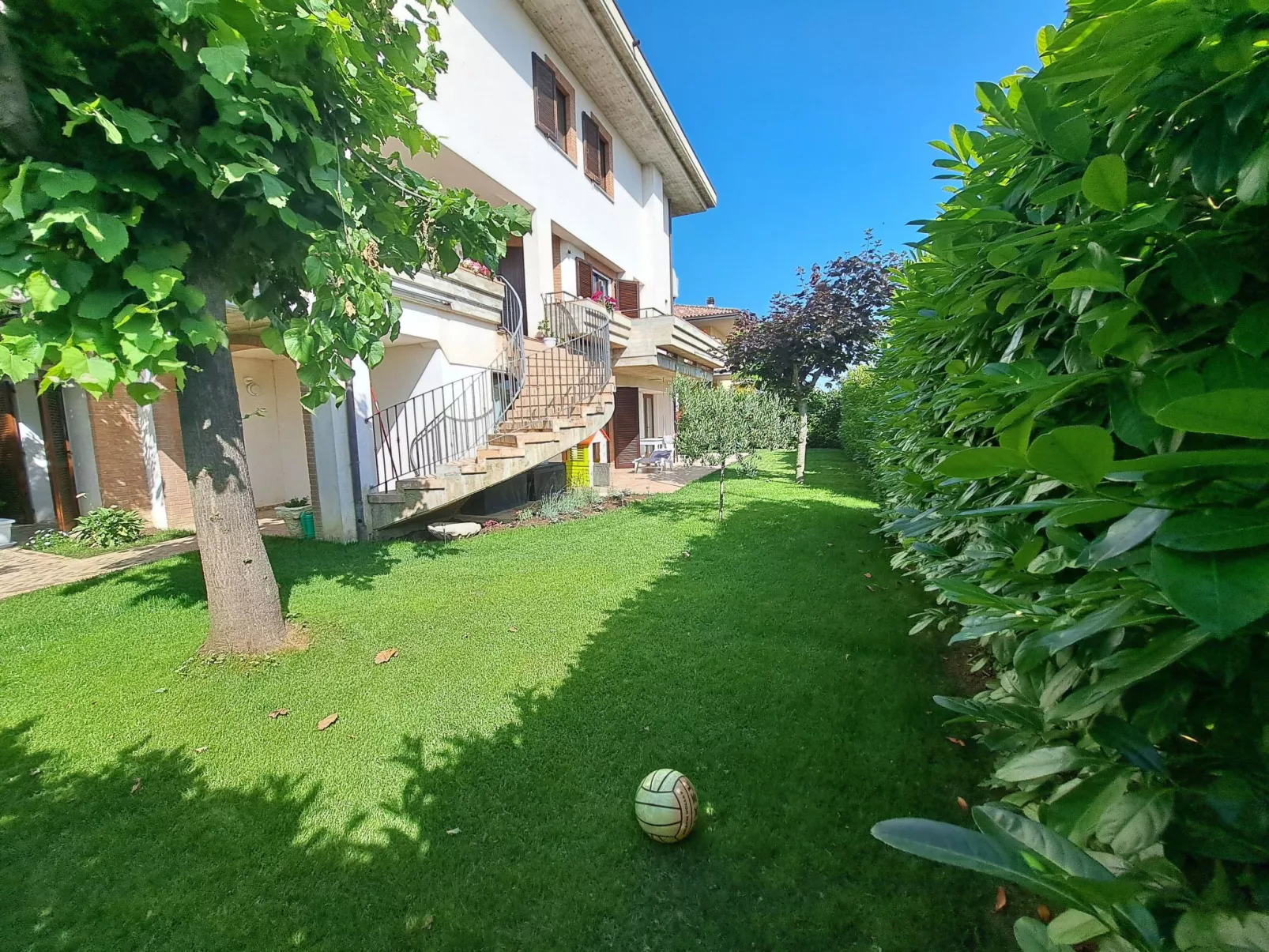 "Daphne Experience".-Outside