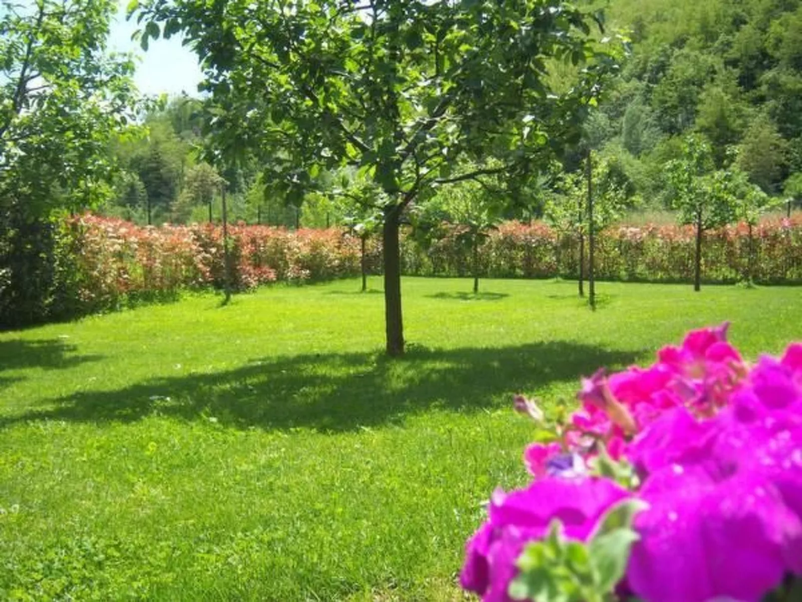Villa Natura in Gallicano-Outside