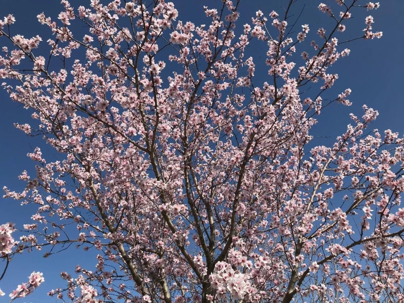  Il Podere La Regina mit privatem Pool-Outside