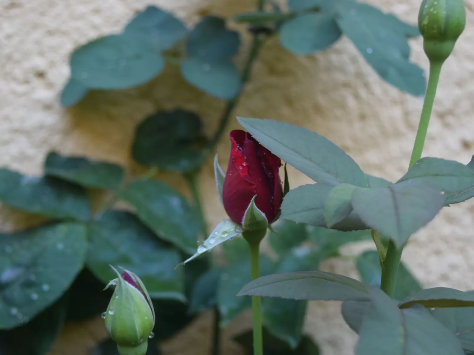 Fachwerkhaus "Casa Entera".-Image-tags.info