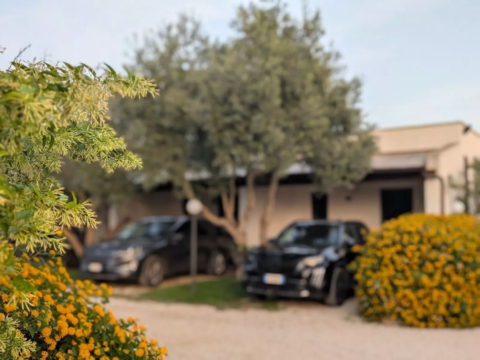 Angenehme Wohnung mit Terrasse, Schwimmbad-Draußen