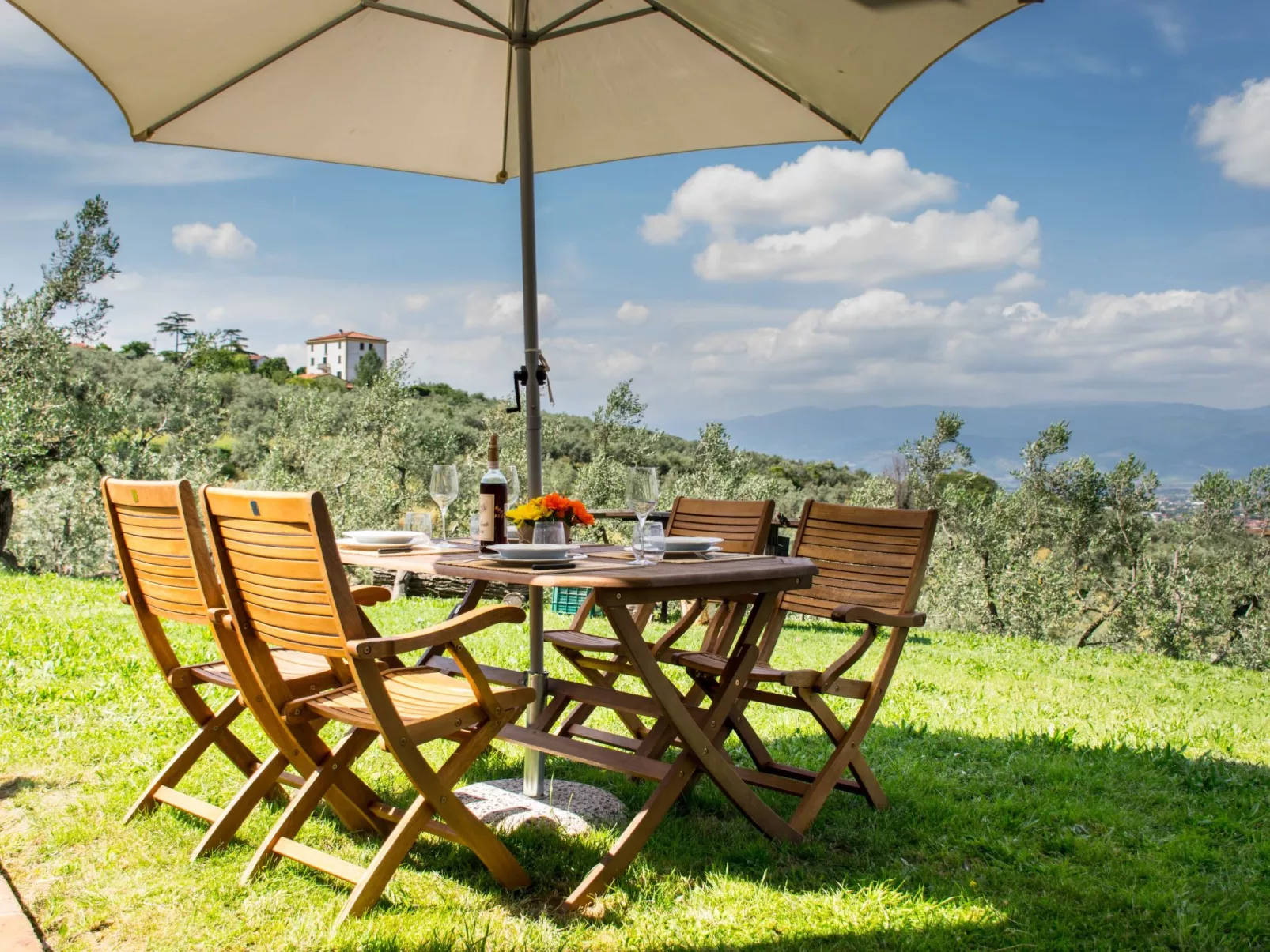 Ein Haus in der Olivenhaine - casa buriano GIULIA-Draußen
