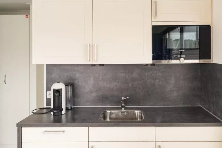 Hausboot Family & Friends mit Hund LP 10 / 4 Personen-Kitchen