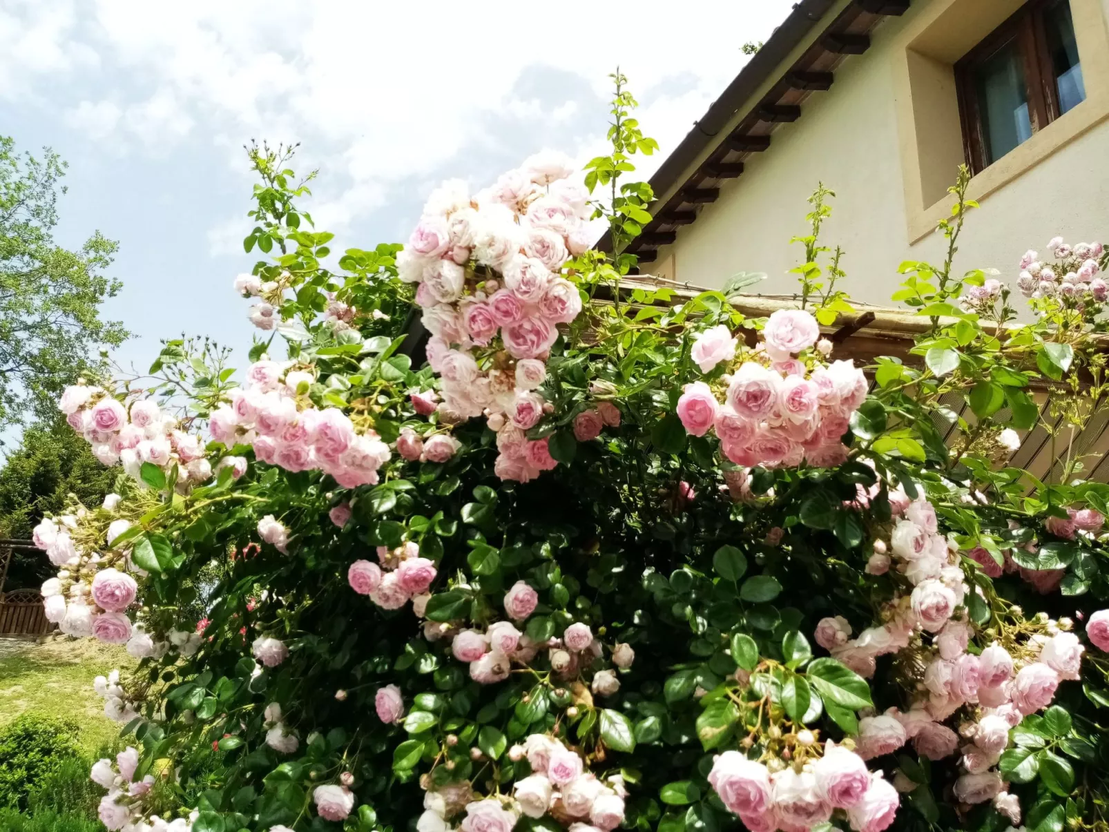 Villa im Grünen Civico 2 in Uzzano-Outside