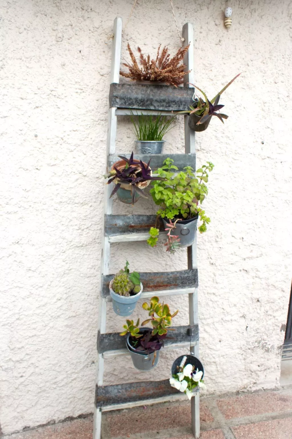 "Casa Natalia 2-Outside