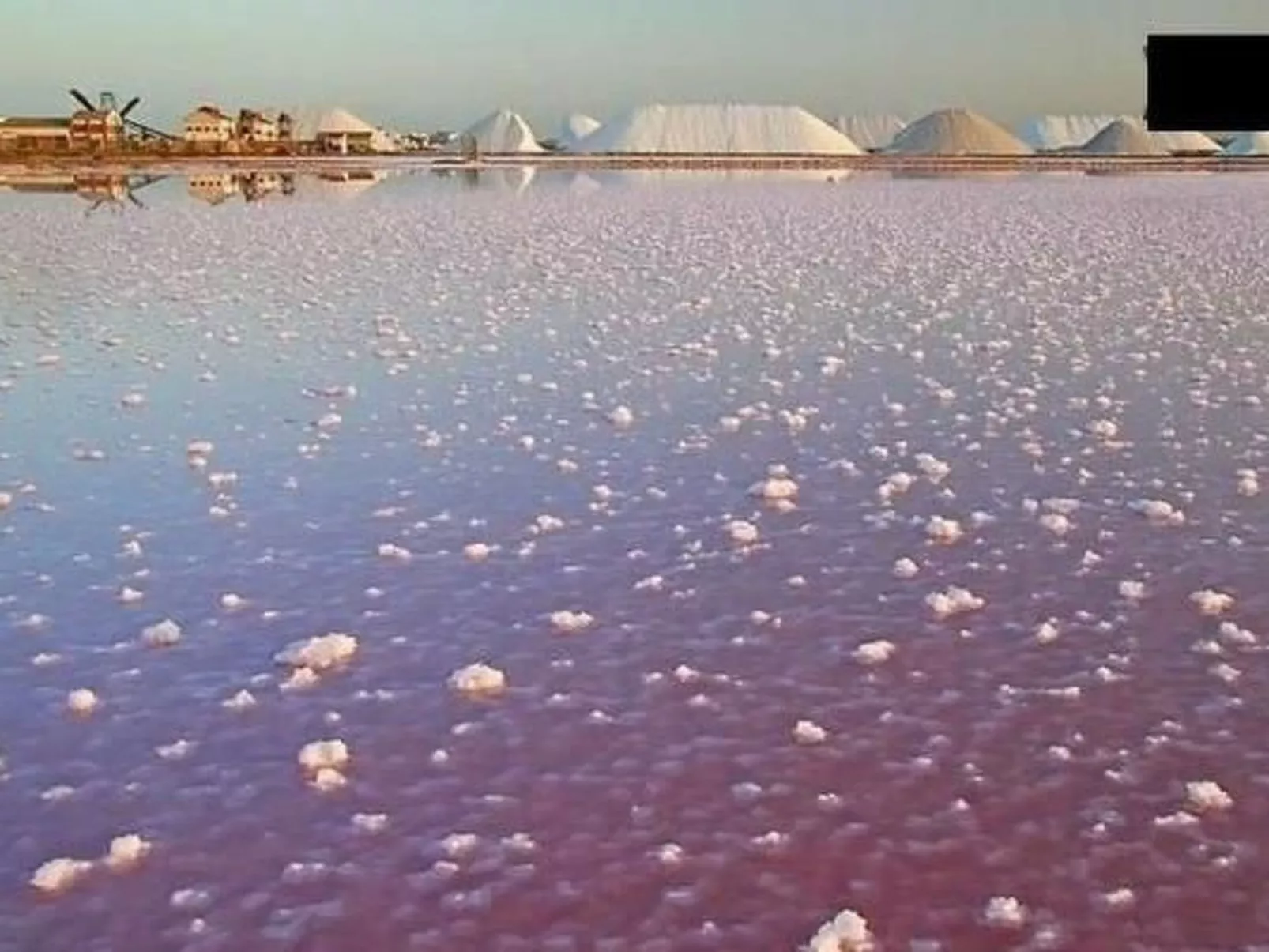 Wohnung mit Balkon-Dehors