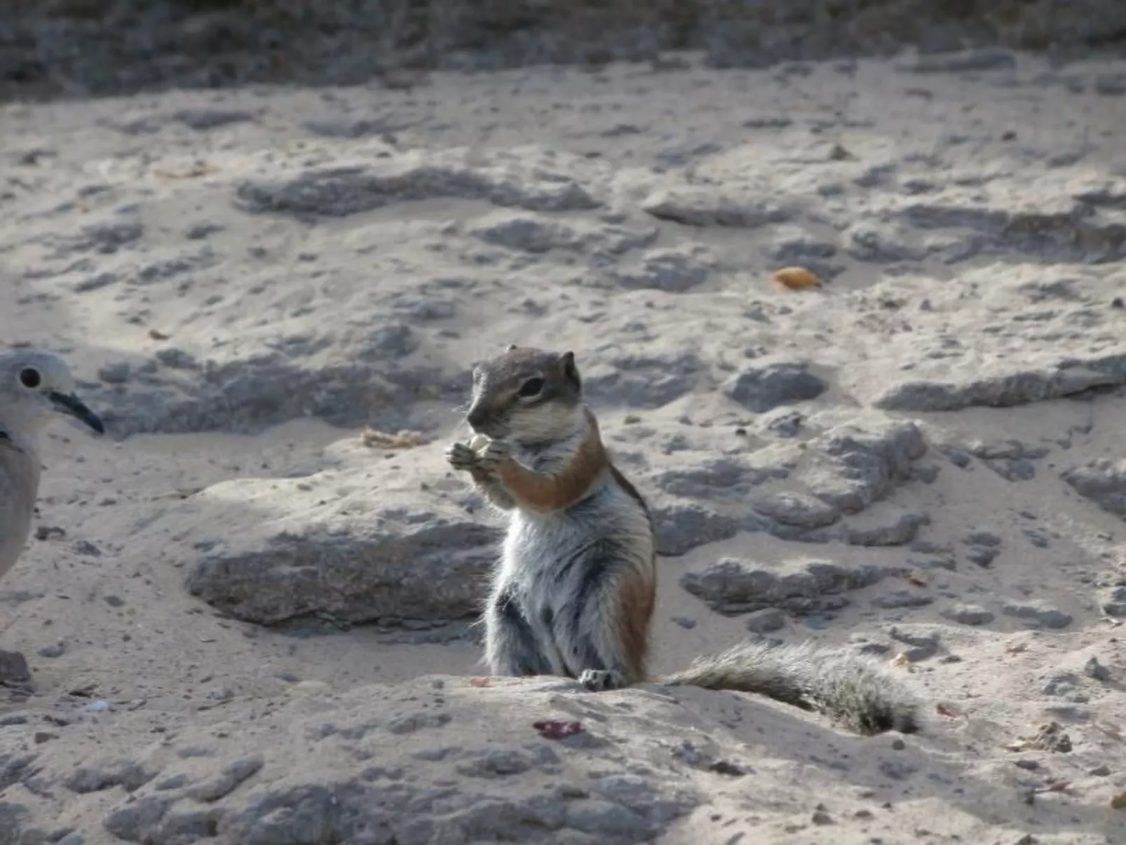 Iwona mit Meerblick-Image-tags.info