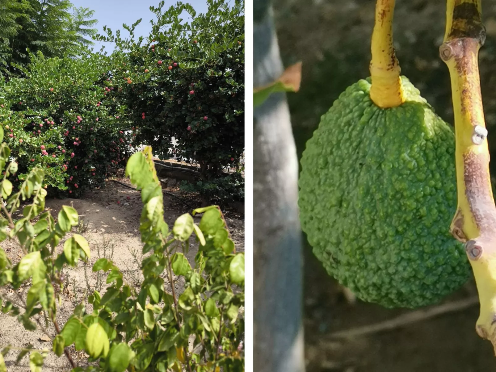 Villa Sur-Image-tags.info