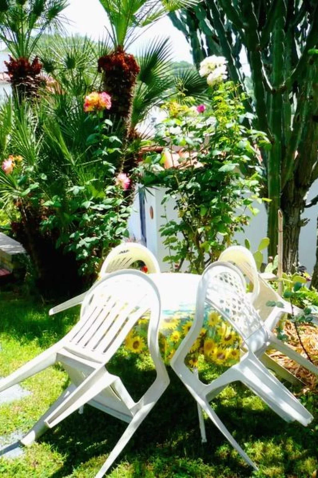 La Terrazza-Image-tags.info