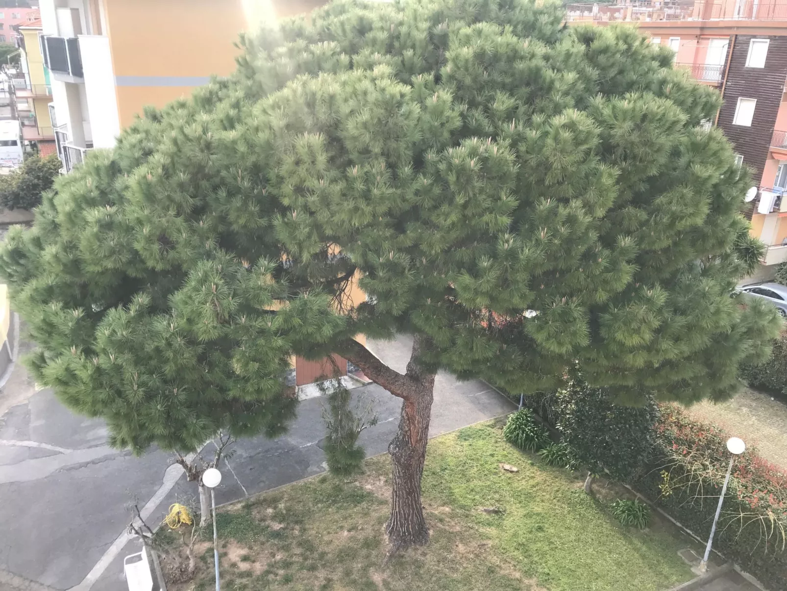 'White' mit Balkon-Draußen