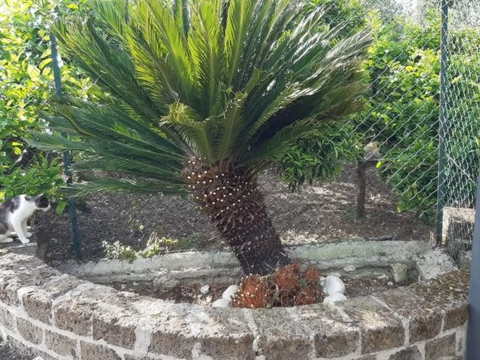 Mit Garten und Kinderschwimmbad-Image-tags.info